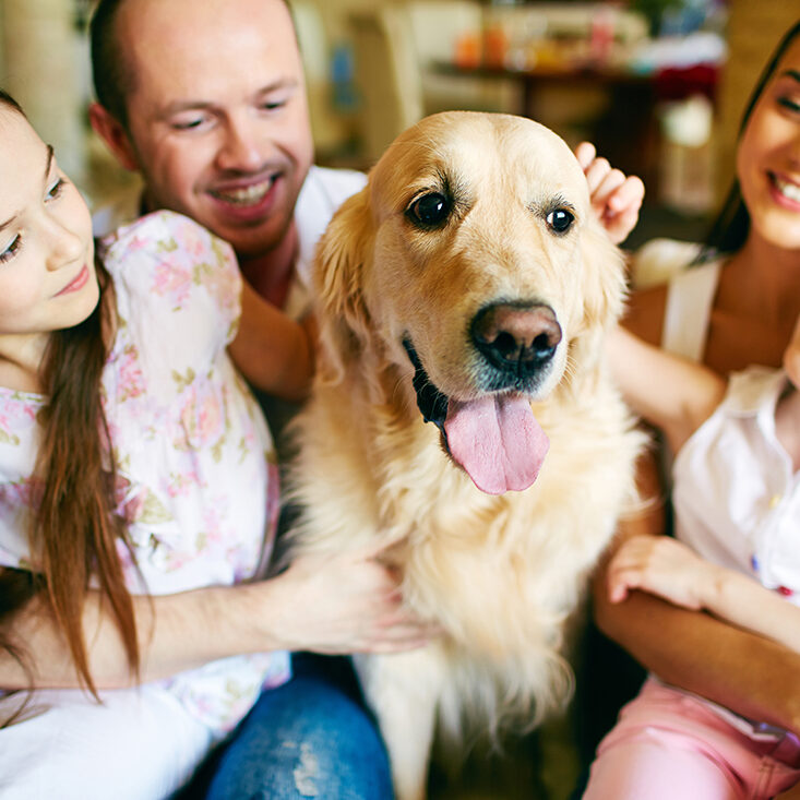 A family proud of how healthy their dog is # immune support